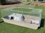 Dwergkonijn/caviahok, Dieren en Toebehoren, Knaagdieren en Konijnen | Hokken en Kooien, Gebruikt, Cavia, Hok, 75 tot 110 cm