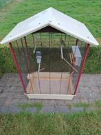 Jonge grasparkietjes met kooi, Dieren en Toebehoren, Parkiet