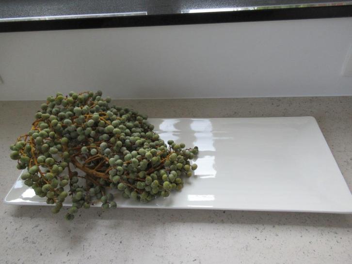 serveerschotel-porselein-ROYAL Porcellana da Forno-ITALY, Antiek en Kunst, Antiek | Servies los, Ophalen of Verzenden