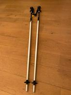 Apres ski pole, Sport en Fitness, Ophalen, Nieuw, Ski