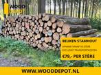 BEUKENSTAMMEN IN BULK | STAMHOUT BEUK | WOODDEPOT, Tuin en Terras, Verzenden, Overige soorten