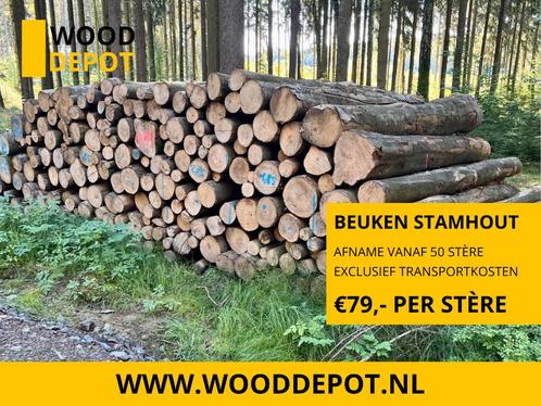 BEUKENSTAMMEN IN BULK | STAMHOUT BEUK | WOODDEPOT, Tuin en Terras, Planten | Bomen, Overige soorten, Verzenden