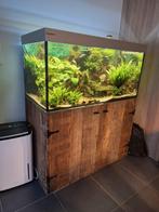 aquarium giesemann 150cm +ledlampen + sump + co2 + inhoud, Ophalen of Verzenden, Zo goed als nieuw
