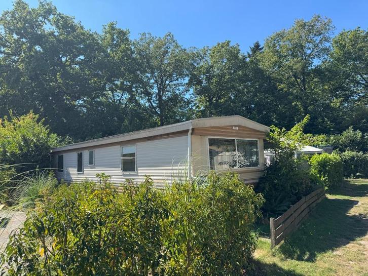 Zonnige bosplaats, 3 slk, wintertent, Caravans en Kamperen, Stacaravans, tot en met 6, Ophalen of Verzenden