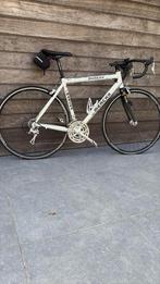 EDDY MERCKX GORA CAMPAGNOLA VELOCI 3x10, Ophalen, Zo goed als nieuw