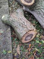 Bois de noyer différentes sections, Neuf, 50 mm ou plus, 250 à 300 cm, Autres essences de bois