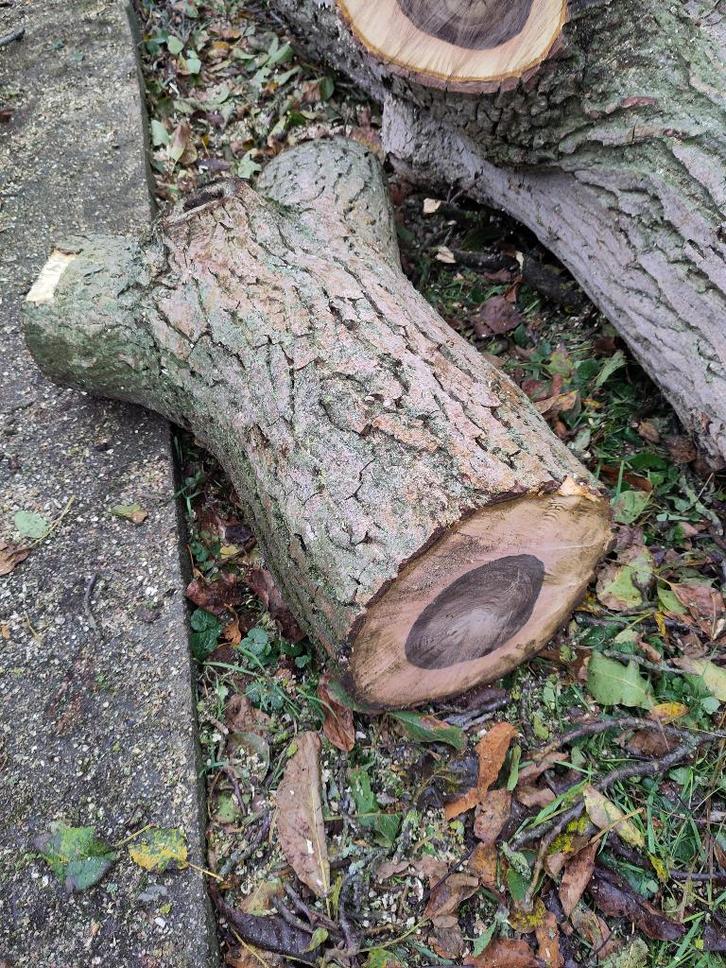 Bois de noyer différentes sections, Bricolage & Construction, Bois & Planches, Neuf, Autres types, Autres essences de bois, 250 à 300 cm