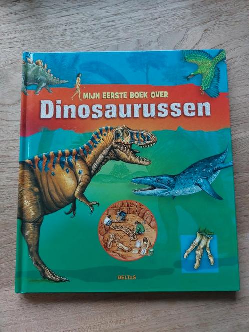 Anne Eydoux - Mijn eerste boek over dinosaurussen, Livres, Livres pour enfants | Jeunesse | Moins de 10 ans, Comme neuf, Enlèvement ou Envoi