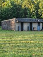 Paardenweide met schuilstallen te huur – Werchter, Dieren en Toebehoren, Stalling en Weidegang, Weidegang, 1 paard of pony
