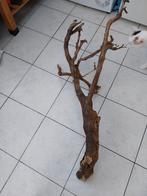 Aquarium hout , 70 euro, Ophalen of Verzenden, Gebruikt, Plant(en), Steen of Hout