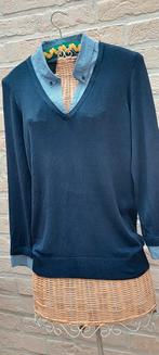 Trui met hemd aaneen maat m caroll, Kleding | Dames, Maat 38/40 (M), Ophalen of Verzenden, Zo goed als nieuw, Caroll