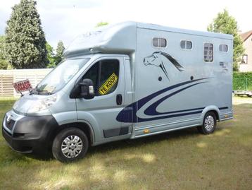 paarden camionette beschikbaar voor biedingen