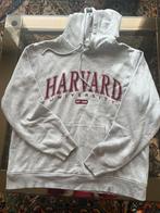 Sweat-shirt, Vêtements | Femmes, Homewear, Enlèvement ou Envoi, Comme neuf, Gris