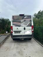 Achterdeuren peugeot Boxer citroen jumper fiat ducato, Bedrijf, Fiat