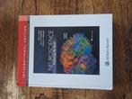 Barry Connors - Neuroscience 4e : Exploring the Brain IE, Boeken, Ophalen of Verzenden, Zo goed als nieuw, Barry Connors