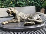 pracht v bronzen Schitterend bronzen beeld  luipaard cheetah, Antiek en Kunst, Ophalen of Verzenden