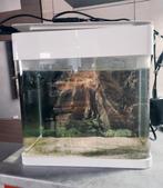 Aquarium superfish 17L modèle Led, Dieren en Toebehoren, Ophalen of Verzenden, Zo goed als nieuw