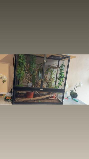 Terrarium à vendre., Animaux & Accessoires, Enlèvement, Comme neuf