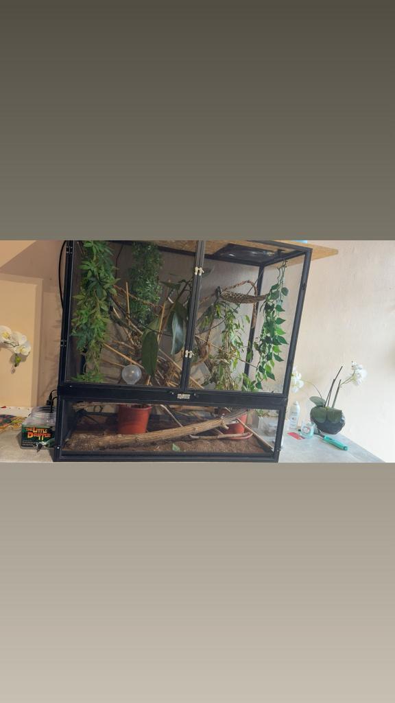 Terrarium te koop., Dieren en Toebehoren, Reptielen en Amfibieën | Toebehoren, Zo goed als nieuw, Ophalen