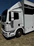 Paardenvrachtwagen, Auto's, Automaat, Euro 5, MAN, Wit