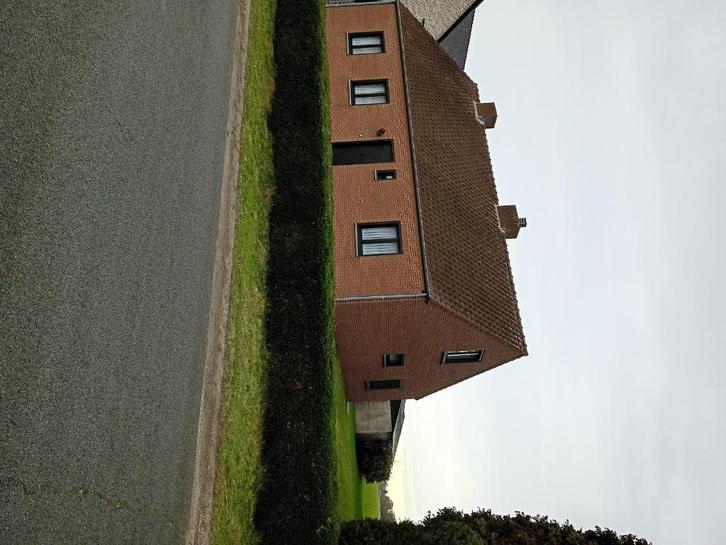 Woning met weide te huur, + - 50 are, te dessel, Immo, Huizen te huur, Turnhout, Vrijstaande woning, Direct bij eigenaar, E