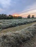 Hooi in kleine pakjes, Dieren en Toebehoren, Stalling en Weidegang