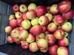 Verse bio Appels van de tuin, Tuin en Terras, Planten | Tuinplanten, Ophalen, Vaste plant, Fruitplanten