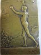Bronzen herdenkingsplaat Albert I, Ophalen of Verzenden, Brons