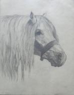 S.B. HAYWARD / WEARY PONY / ORIGINEEL WERK / 42x32cm KADER, Enlèvement ou Envoi