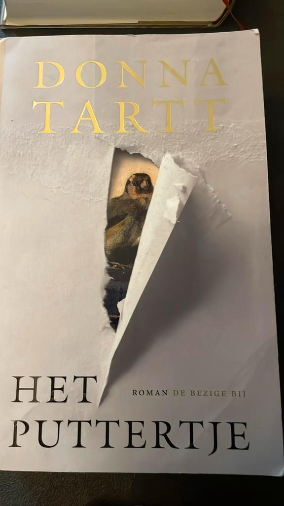 Donna Tartt - Het puttertje, Boeken, Literatuur, Zo goed als nieuw, Ophalen