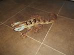 Metalen beeld Salamander, Antiek en Kunst, Ophalen of Verzenden
