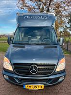 Prachtige en luxe Renault paardencamionette! Automaat!, Dieren en Toebehoren, Ophalen, Zo goed als nieuw, Aluminium, 2-paards trailer