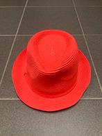 Hoed maat 56, Kinderen en Baby's, Kinderkleding | Petten en Hoeden, Ophalen of Verzenden, Zo goed als nieuw, Hoed