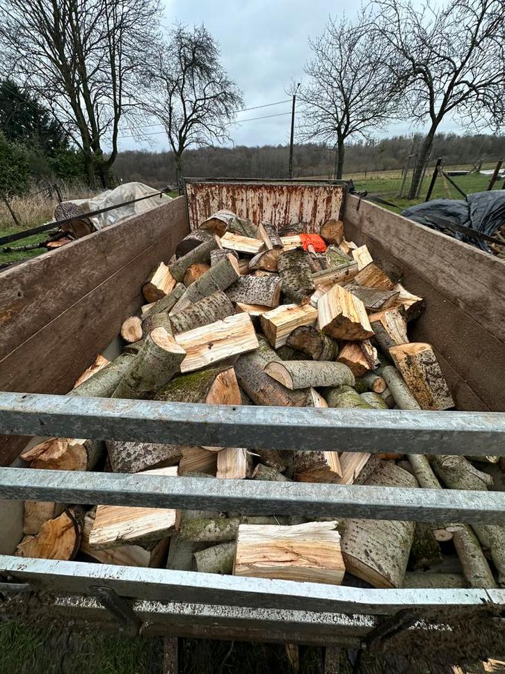 Brandhout mix, Jardin & Terrasse, Barbecues au charbon de bois, Enlèvement