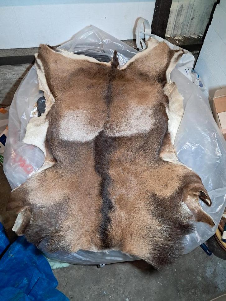 Moeflon/wild schaap vacht, kleed, huid. Ter decoratie, Huis en Inrichting, Woonaccessoires | Plaids en Woondekens, Gebruikt, Ophalen of Verzenden