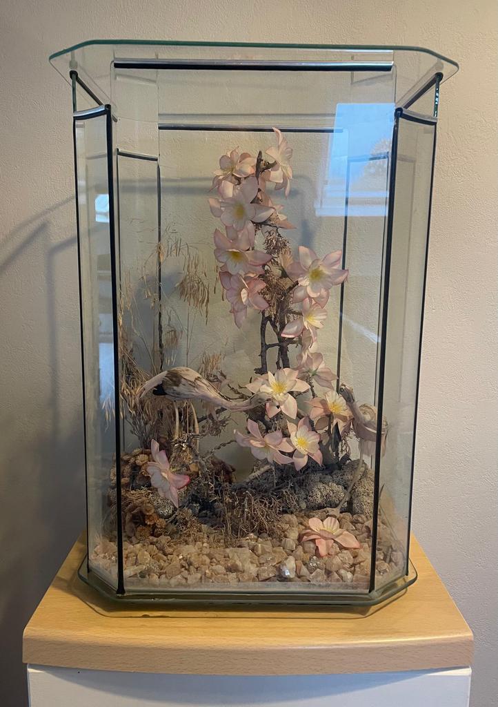 Élégante déco en verre, Enlèvement