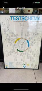 Nieuw ingekaderde poster kinesiologie 90x65, Diversen, Schoolborden, Ophalen, Zo goed als nieuw