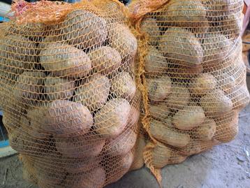 aardappelen Alegria beschikbaar voor biedingen