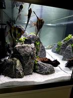 Aquariumzand Dennerle Beach wit, Dieren en Toebehoren, Ophalen, Zo goed als nieuw, Grind, Zand of Voedingsbodem