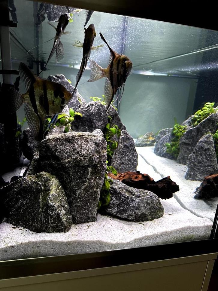 Aquariumzand Dennerle Beach wit, Dieren en Toebehoren, Vissen | Aquaria en Toebehoren, Zo goed als nieuw, Grind, Zand of Voedingsbodem