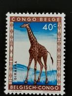 Belgisch Congo 1959 - wilde dieren - giraf, Postzegels en Munten, Ophalen of Verzenden, Postfris, Dier of Natuur