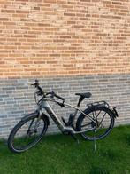 Speedpedelec TREK, Fietsen en Brommers, Elektrische fietsen, Ophalen, Zo goed als nieuw, Overige merken