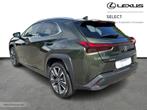 Lexus UX 250h Executive Line + Sunroof, Auto's, Lexus, Automaat, Euro 6, 184 pk, Bruin