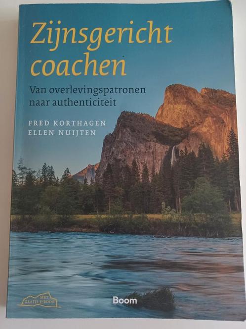 Fred Korthagen - Zijnsgericht coachen, Boeken, Advies, Hulp en Training, Zo goed als nieuw, Ophalen of Verzenden