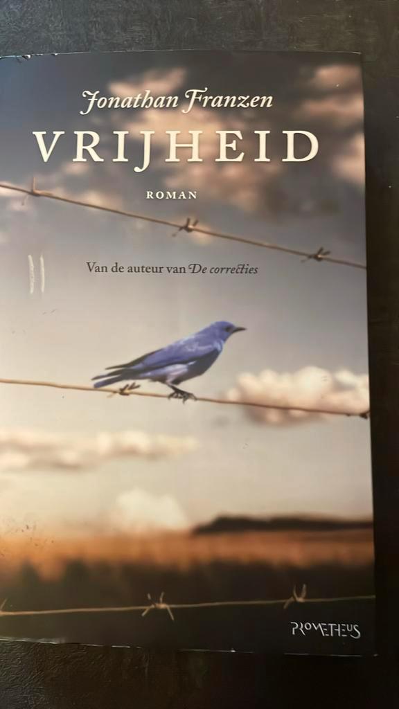 Jonathan Franzen - Vrijheid, Boeken, Literatuur, Zo goed als nieuw, Ophalen