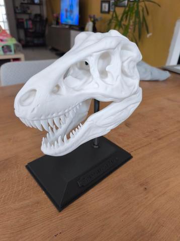 T Rex Schedel (PLA) beschikbaar voor biedingen