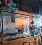 Terrarium 120x60,x60 entièrement équipée A ou S occupant, Enlèvement, Éclairage