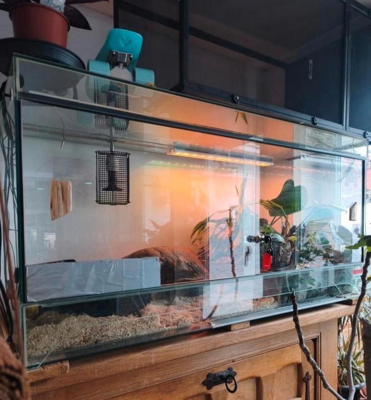Terrarium 120x60, x60 volledig uitgeruste A- of S-bewoner, Dieren en Toebehoren, Reptielen en Amfibieën | Toebehoren, Verlichting