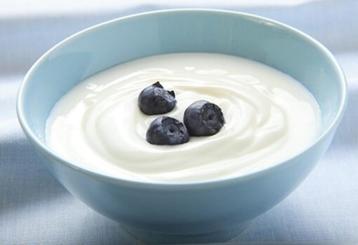 Levende yoghurt cultuur beschikbaar voor biedingen