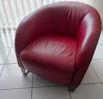 Natuzzi fauteuil LIZ, 75 tot 100 cm, Gebruikt, Leer, 75 tot 100 cm
